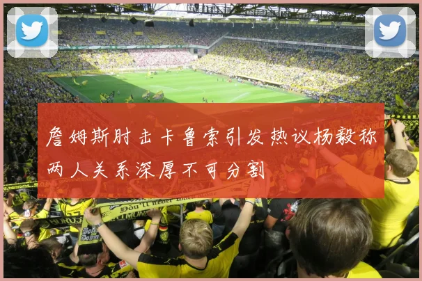 詹姆斯肘击卡鲁索引发热议杨毅称两人关系深厚不可分割
